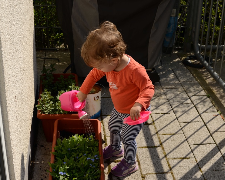 Greta Helping Water the Flowers